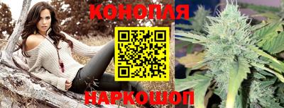 стафф Севастополь