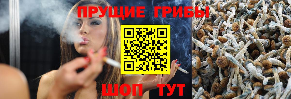 Псилоцибиновые грибы GOLDEN TEACHER  Вход с VPN  Ревда 