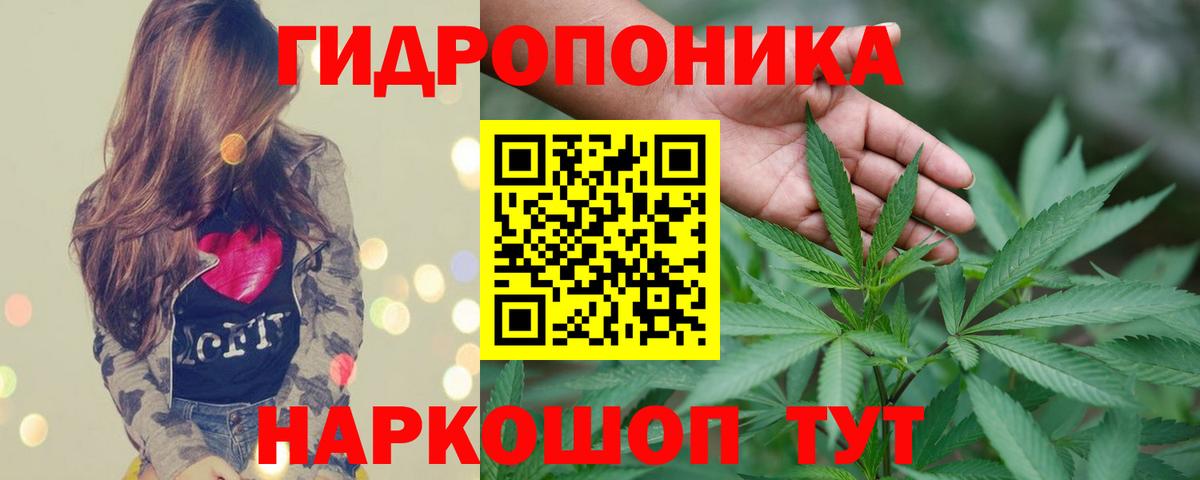 Шишки марихуана план Ревда